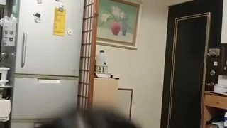 E品小说网3p黑丝